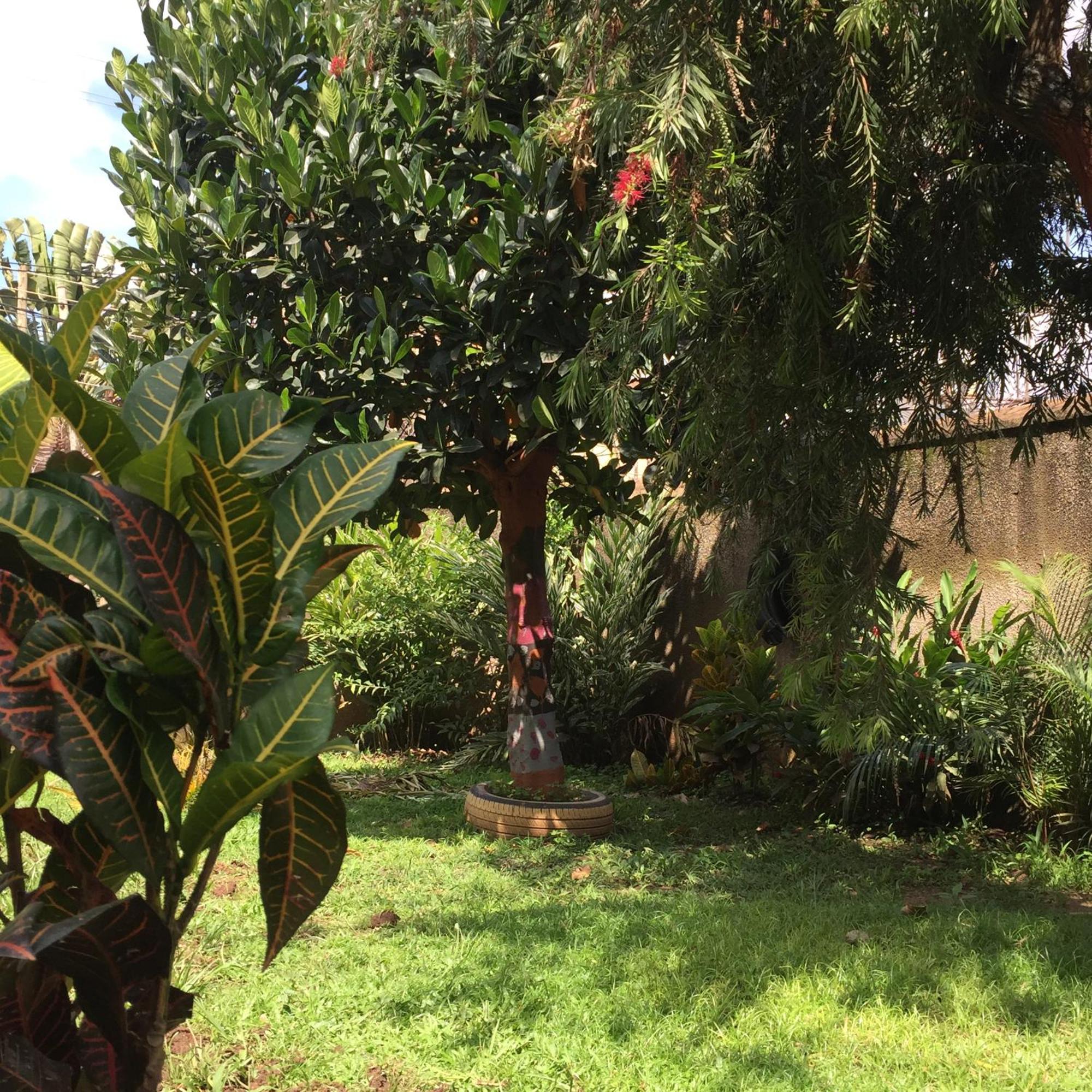 Tgs Homestay Καμπάλα Εξωτερικό φωτογραφία